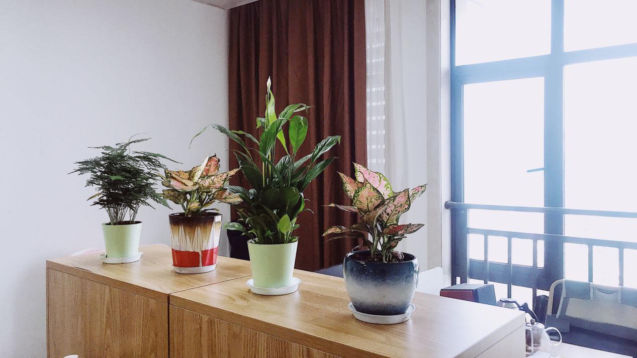 1603270807547106.jpg image005.jpg