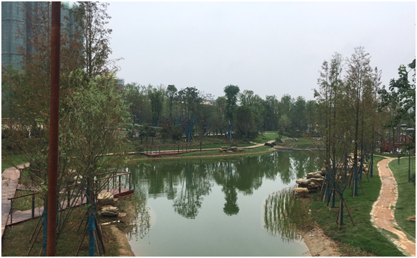 1615947428392254.png 13399a965db73f670fdeb5e39585d0c.png